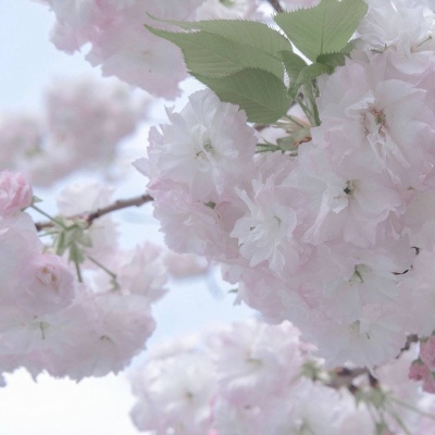 兽设沙漠场景设计兽圈群